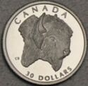 30 Dollars (Canadian Wildlife platinum series. Bison)