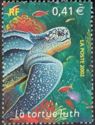 Leatherback Sea Turtle (Dermochelys coriacea)