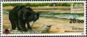 Sloth Bear (Melursus ursinus)