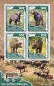 African Buffaloes