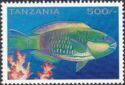 Bullethead Parrotfish (Scarus sordidus)