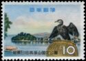 Great Cormorant (Phalacrocorax carbo), Hita City and
