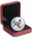 25 Cents (American Robin)
