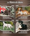 Dog Breeds