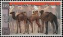 Camels
