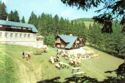 Bucegi Mountains.Chalet Poiana Izvoarelor