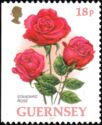 Standard Rose (from booklet, left imperforate)