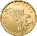 1 Dollar (Ferruginous Hawk)
