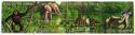 Strip of 4 Stamps with African Animals