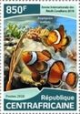 Ocellaris Clownfish (Amphiprion ocellaris)