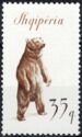 Brown Bear (Ursus arctos)