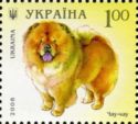 Chow Chow (Canis lupus familiaris)