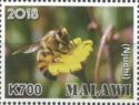 African Honey Bee (Apis mellifera scutellata); "Njuchi"