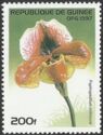 Paphiopedilum millmoore