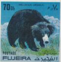 Sloth Bear (Melursus ursinus)