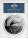 1 Dollar (Bottlenose Dolphin)
