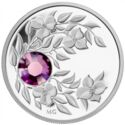 3 Dollars (February birthstone, Amythest)