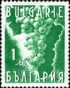 Grapes (Vitis vinifera)