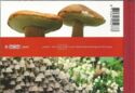 Prestige Booklet 22: 100 Years Dutch Mycological Association