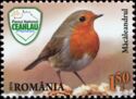 European Robin (Erithacus rubecula)