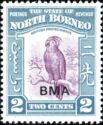 Palm Cockatoo (Probosciger aterrimus) - overprinted