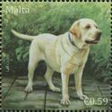 Labrador