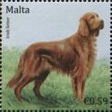 Irish Setter