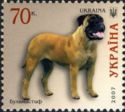 Bullmastiff (Canis lupus familiaris)
