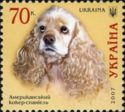 American Cocker Spaniel (Canis lupus familiaris)