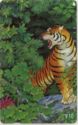 Rare Animals of China - Manchurian Tiger