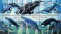 Whales