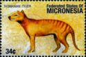 Tasmanian Tiger (Thylacinus cynocephalus)