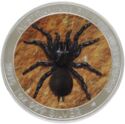 1 Dollar (Funnel-Web Spider. Color)