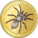 1 Dollar (Funnel-Web Spider. Gilded Black)