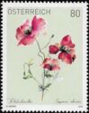Common Poppy (Papaver rhoeas)