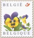 Stamp for Personalized Series: Viola tricolor