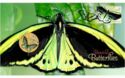 1 Dollar (Australian Butterfly – Richmond Birdwing. Coin & Stamp)
