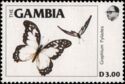 Angola White Lady (Graphium pylades)
