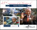 25th Anniversary of the Liberation of Nelson Mandela