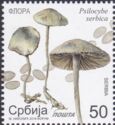 Psilocybe serbica