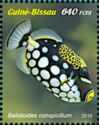 Clown Triggerfish (Balistoides conspicillum)