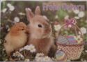 Frohe Ostern