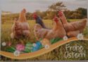 Frohe Ostern!