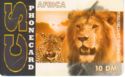 CS Telecom - Africa (Lion / Leopard)