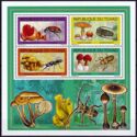 Mushrooms and Insects