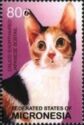 Calico shorthaired Japanese bobtail