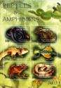 Reptiles and Amphibians