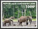 African Forest Elephant (Loxodonta cyclotis)