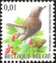 Common Nightingale (Luscinia megarhynchos)