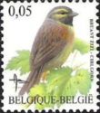 Cirl Bunting (Emberiza cirlus)